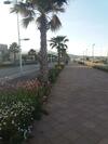Apartamento Cerca Del Mar