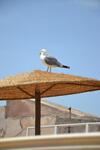 Hostal Hotel Riad Ben Atar