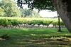 Bed & Breakfast Ch�teau De La Chaise