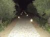 Hostal Paix & Palmiers