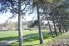Spacious First Floor 3 Bed Mostyn Street Apartment