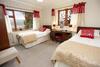 Artist's Cottage Near Porthmadog 1015