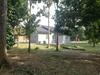 Auranik Homestay