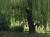 Bed & Breakfast Les G�tes D'eliane