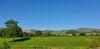 Heron's View