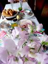 Bed & Breakfast Villa Zomerdijk