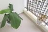 Apartamento Bliss House Nha Trang