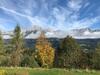 Apartamento K�ssen Dorf41 Top2