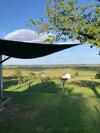 Kellerst�ckl Postrumer Weinberg 49