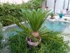 Bed & Breakfast Le Patio Des Senteurs