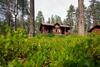 Viihtyis� Lomam�kki Levill�