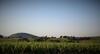 Bed & Breakfast Les Roulottes Viticoles