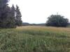 Apartamento Ferienwohnung Harzblick