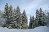 Selke�s Exklusives Ferienhaus