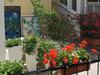 Apartamentos Lora de Luxe App 4 Star Amazing Sea & Park View
