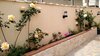 Apartamento Flowery Inn Villa