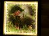 Holzhaus Trollbl�mchen Am Wald Und See