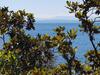 Sunny Apartment 150 M From The Sea