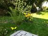 Apartamento Ferienwohnungen Haus Sauer