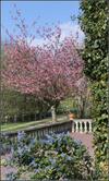 Bed & Breakfast Bayeux Guest Room Le Vivier