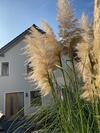 Kapit�nshaus Sellin