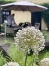 L�ffelm�hle Boutique Bed And Breakfast