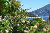 Fiscardo View Apartment