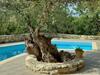 Apartamento Olive Garden
