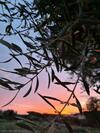 Sunset Villa Lagonissi Riviera