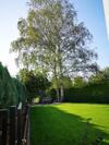 Apartamento Birkenblick Ferienwohnung Owwe