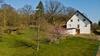 Apartamento Ferienwohnungen "am Berge"