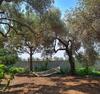 Bed & Breakfast Ekincik Art Camp