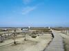 Apartment In St Peter-ording In A Natural Environment