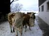 Agroturismo Waldsch�nau