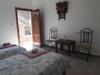 Riad Zitun