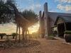 Sundowners Game Lodge
