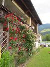 Apartamento Haus Mitti