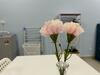 Apartamento Cq28-self Check In- Wifi- Netflix- Parking-new