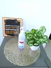 Apartamento Yolo Budget Condo Premium Facilities