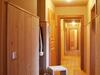 Apartment Brizerhaus Mayrhofenramsau III