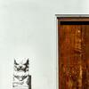 Bed & Breakfast Punyashthiti Villa