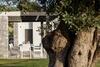 Villa Amna Olive