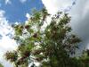 Bed & Breakfast Le Clos De La Garde