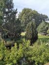 Apartamento Pusteblume