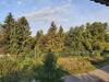 Hostal Feny?fa Vend�gh�z