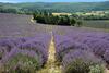Bed & Breakfast La Bousquati�re