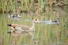 Klipfontein Rustic Farm & Camping