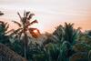Lodge Bali Bamboo Jungle Huts And Hostel