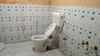 Villa Misbha Home Stay