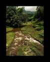 Kodai Jewel Box Homestay